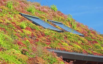 Nearton End living roof systems