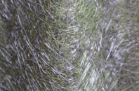 Nearton End fibreglass roof work